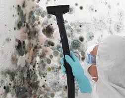 Best Industrial Mold Remediation  in USA